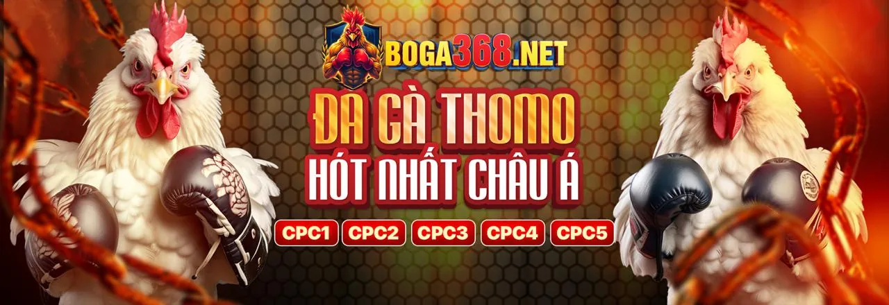 Cá cược thể thao sôi động tại rikbet trang chủ chính thức