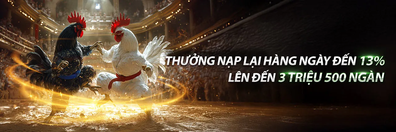 Khuyến mãi Rikbet trang chủ chính thức 2026